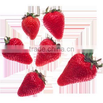 IQF Frozen Strawberry ,(25-35 mm)