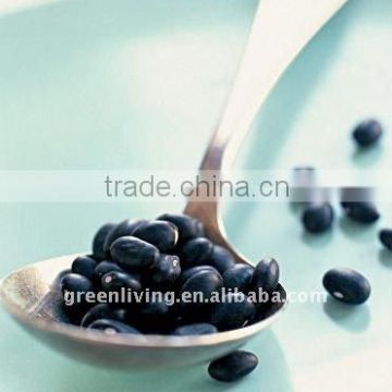 chinese black bean