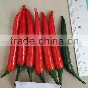Hybrid F1 Red Hot Pepper Seeds Chili Seeds For Sale-Brightness Red 100 photo-2