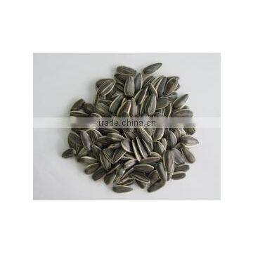 black sunflower seeds