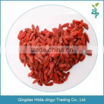 Organic dried goji berries for exporting