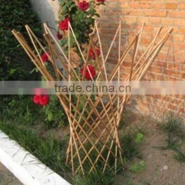 willow trellis/obelisk