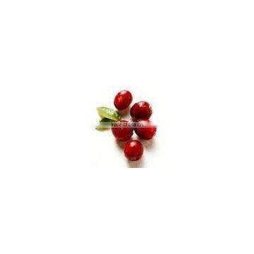 cranberry fruit extract powder