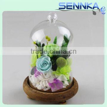 Quality Chinese Preserved Flowers In Glass Preserved Rainbow Roses