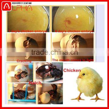 3168 Eggs Incubator Haching Machine Chicken Eggs Incubator photo-6