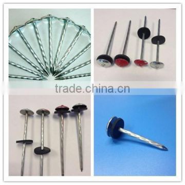 galvanized umbrella plastic head roofing nail,red head