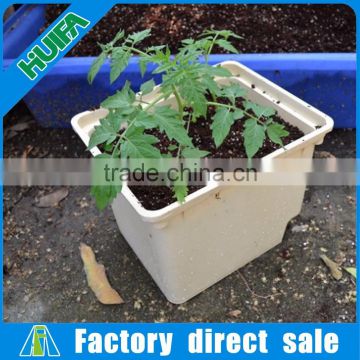 Hydroponics tomatoes dutch grow tank bucket system dutch bucket for greenhouse