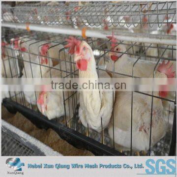 farming laying chicken cage/automatic poultry chicken cage