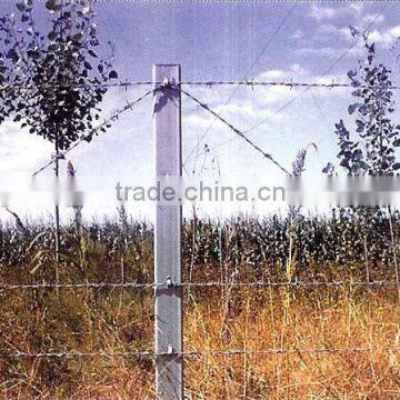 razor barbed wire/PVC coating barbed wire/hot dipped galvanized barbed wire