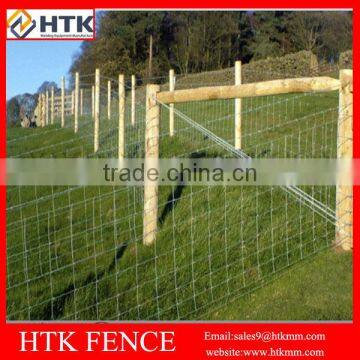 BV Certificate Direct Factory Field Fence for Savannah photo-5