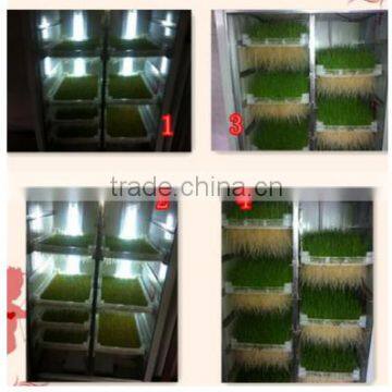 Automatidc Hydroponic Seeds Sprout Fodder Growing Machine photo-5