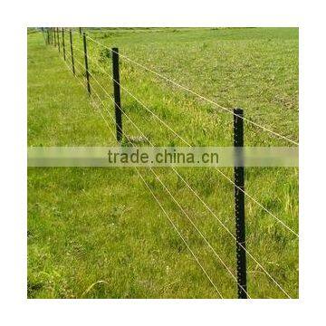 Isreal Type Y Steel Fence Post for Middle East Market photo-6