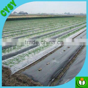 agricultural black and white plastic mulch film / black mulch film