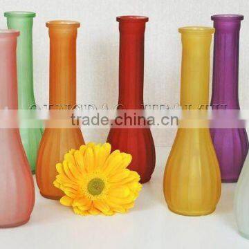 HLTH0005 Glass Flower Vase