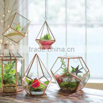 Succulent Polygon Hanging Prism Terrarium photo-4