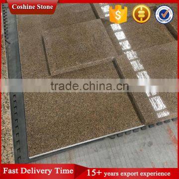 Wholesale Indian Golden Leaf Granite Price photo-4