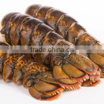 Lobster Tails photo-3