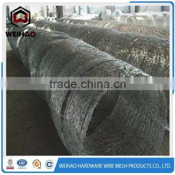 Reinforce and Firm Barbed Wire Used on the Wall photo-4