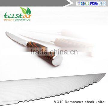 Japanese VG-10 67 Layers Damascus Premium Steak Knife 4.5-inch With Gift Box photo-6