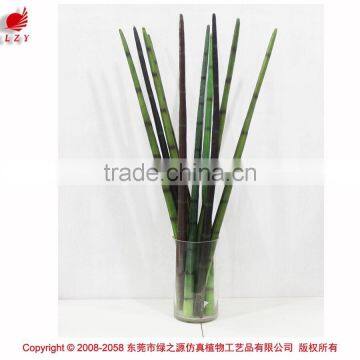 Manufacturing Maguey Garden Decoration Indoor Decoration Handmade Plant for Sale photo-4
