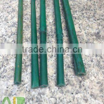 Green Bamboo Dried,round Flower Sticks for Sale photo-5