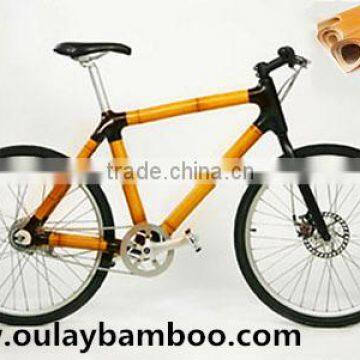 Environmental Personality Bamboo Bike Mountain Bicycle