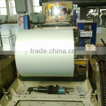 Blank Polyester Film Roll