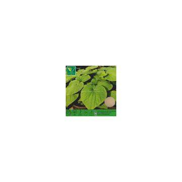 Kava Extract