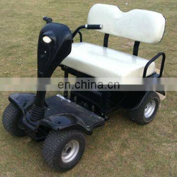Hot Selling 2 Seater Small Golf Buggy