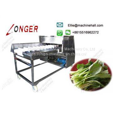 Vegetable Root Cutting Machine photo-3