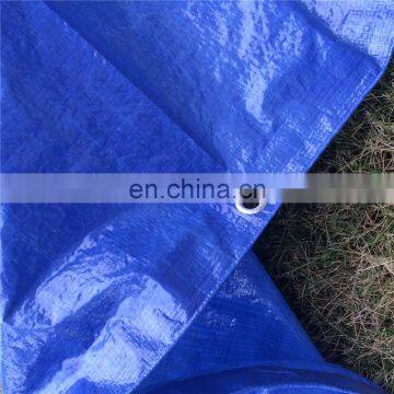 Mildew resistant pe tarpaulin