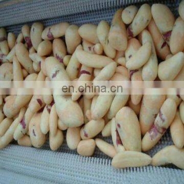 Brush Type Cleaning Peeling Machine/Potato Peeling Machine for Sale photo-6