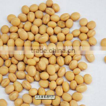 gmo soybean promotion hot sale