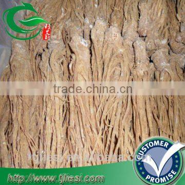 supply angelica root not extract