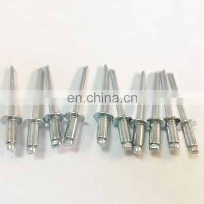 Free sample rivets All stainless steel 304/316 large head flat head blind rivets