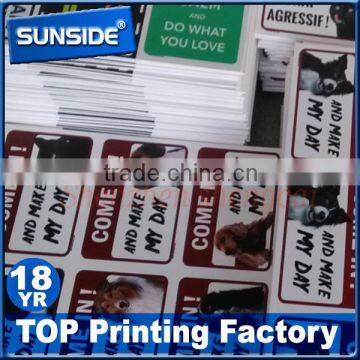 Laminated Cardboard/die Cut Paper Foam Board Printing-D-0613 Supplier's Choice photo-4