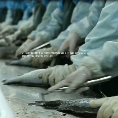 Sea Bass Fillet photo-3