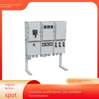 Meirun Split-type Explosion-proof Positive-pressure Instrument Cabinet, Wall-mounted or Floor-standing Options Available, More Flexible for Protection and Power Distribution photo-4