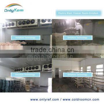 Insulated Walk in Freezer Lobster Storage photo-6