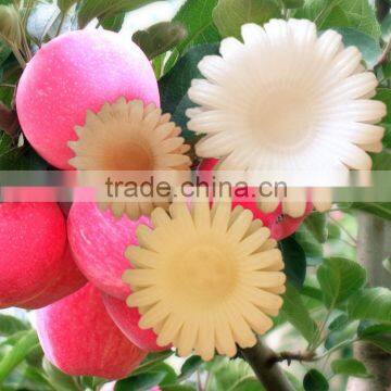 China gold supplier Plastic Crown petal for fruit packing