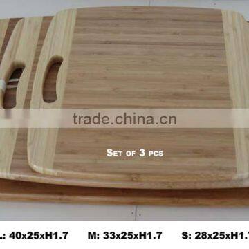 Set of 3 rectangular bamboo cutting board with handle