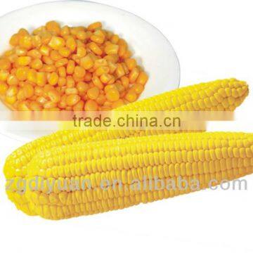 Canned Sweet Corn ,Yellow Corn,184G 340G 400G 425G 2500G 2840G A9 A10