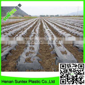 ground cover agriculture plastic mulch film control ground surface temperature