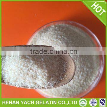 Hot selling 180 bloom fish gelatin hydrolyzed with low price