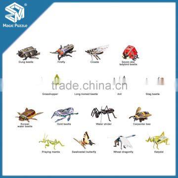 High quality art paper and EPS foam core kids intelligence educational toy