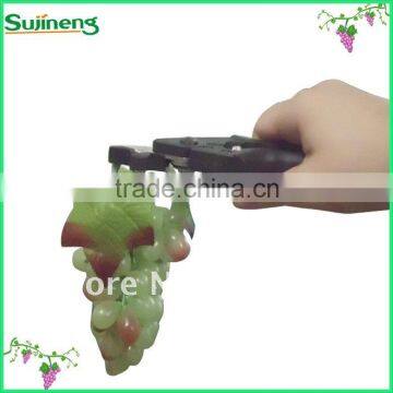 Convenient Vegatable And Melon Pruning Clamp