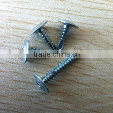 Truss Phillips screw