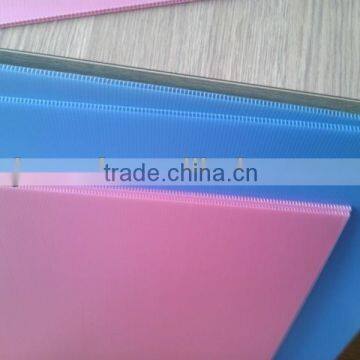 Hollow Plastic Sheet/ Plastic PP Sheet