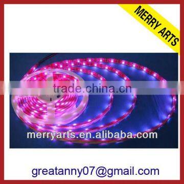 Express Sale High Quality Custom Unique Outdoor Christmas Lights Led Decoration China Wholesale photo-2