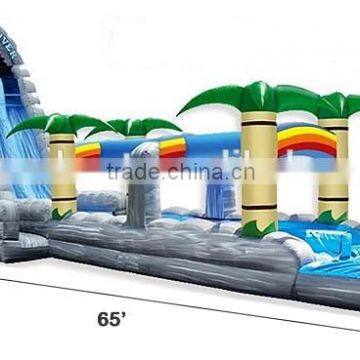 2015 Commercial Grade Inflatable Tropical Water Slide For Adult photo-5